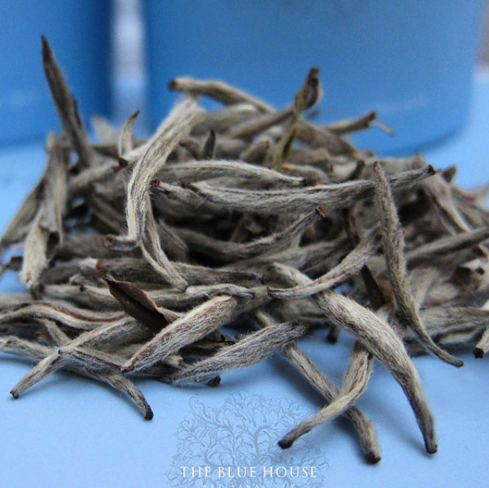 Discover Nicolas Sursock Tea blend for Sursock Museum