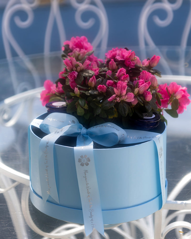 I love You Mom Hamper