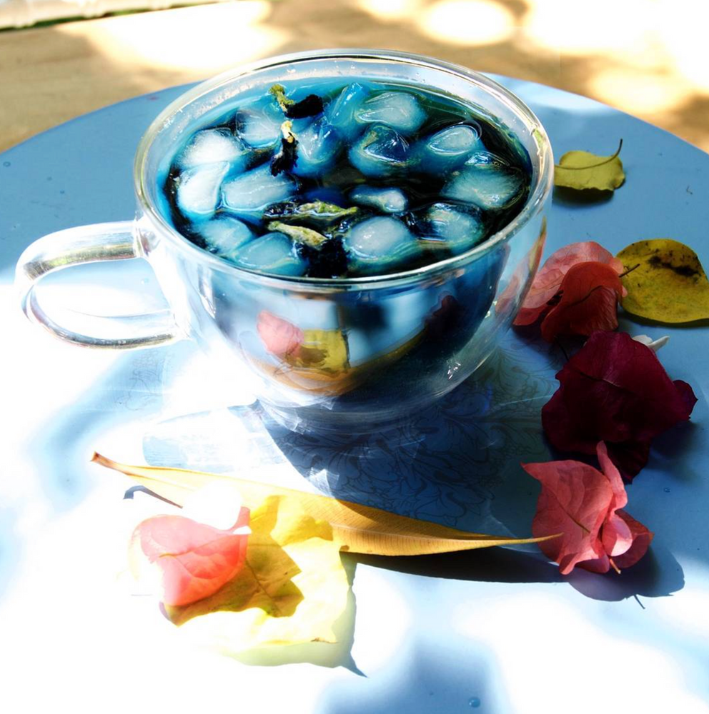 The Disco Detox - 20 Days