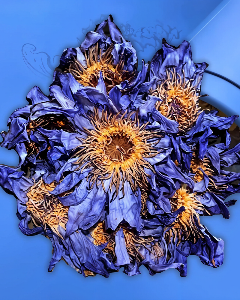 Blue Lotus Tea