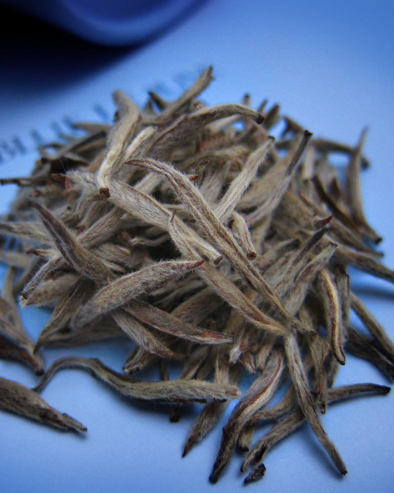 Emperor Silver Needle - Fujian Province China - THE BLUE HOUSE