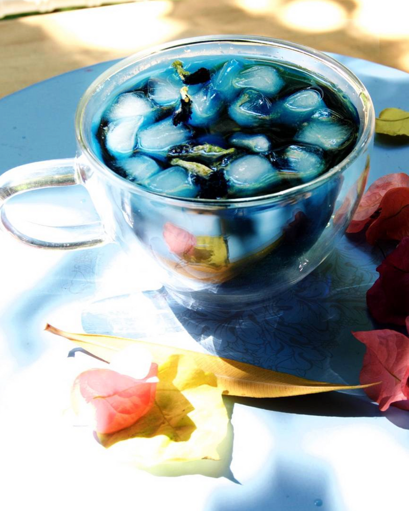 The Disco Detox - 20 Days